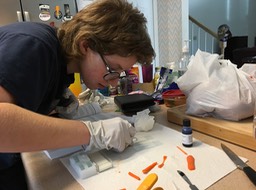 Biology preparing slides