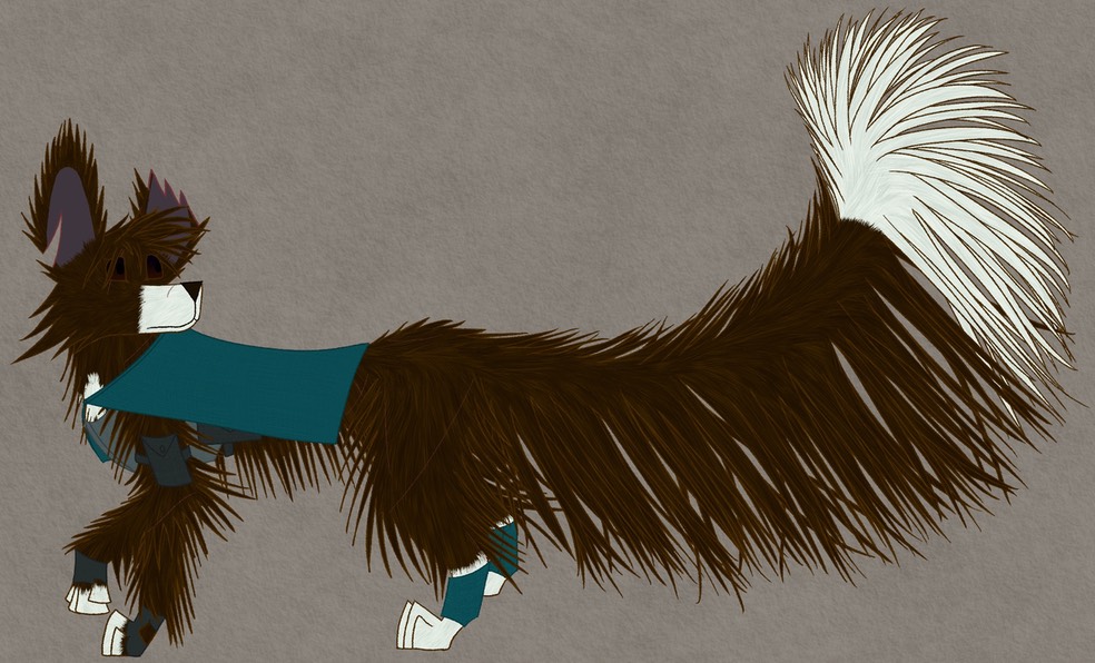 dog with bushy tail