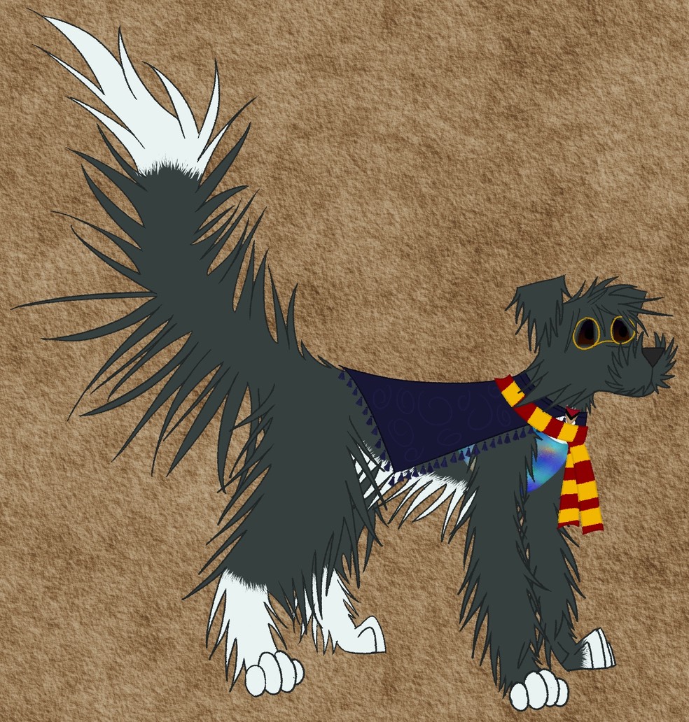 dog with scarf
