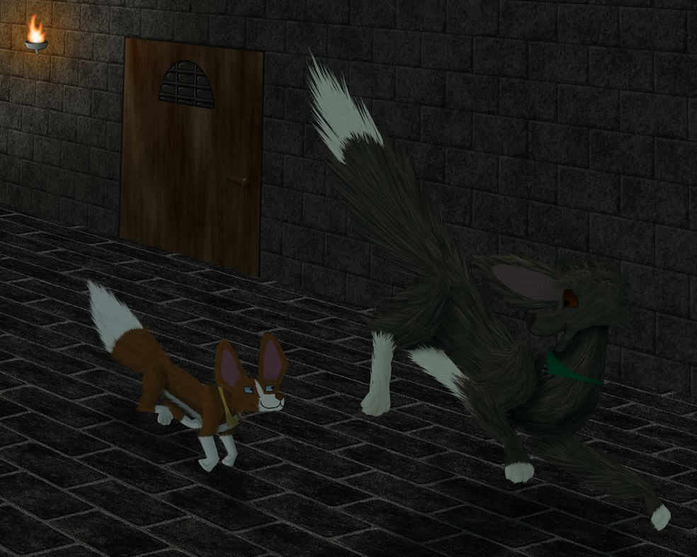 dogs at night